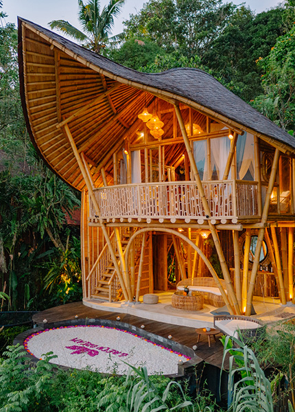 Green Dream Homepage 1