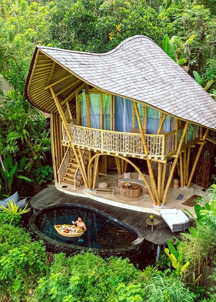 Green Dream Homepage 2