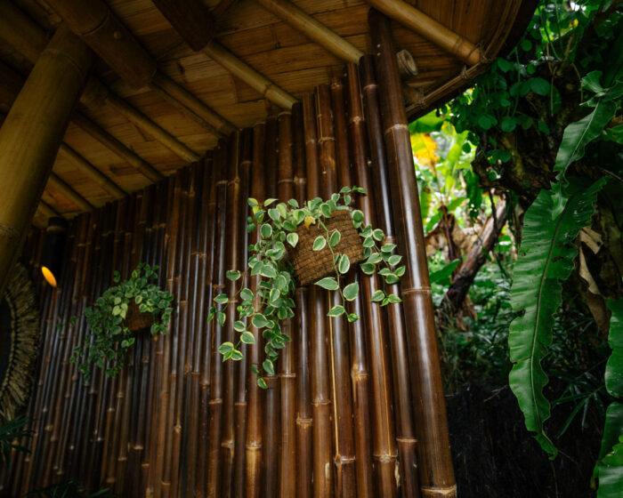 Jiva Bali GreenDream Gallery (12)
