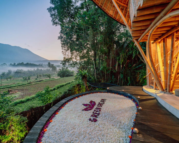 Jiva Bali GreenDream Gallery (30)