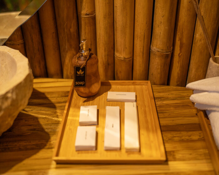 Jiva Bali GreenDream Gallery (6)